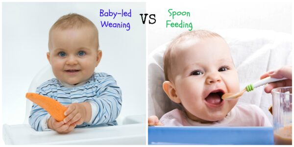 Baby-Led Weaning vs. Traditional Weaning: Which Approach is Right for Your Baby?