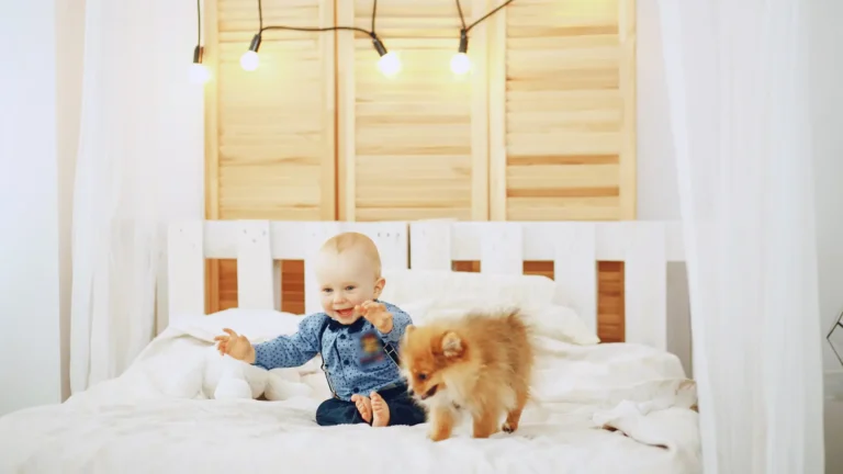 Baby room sharing expert guide for calm confident sleep