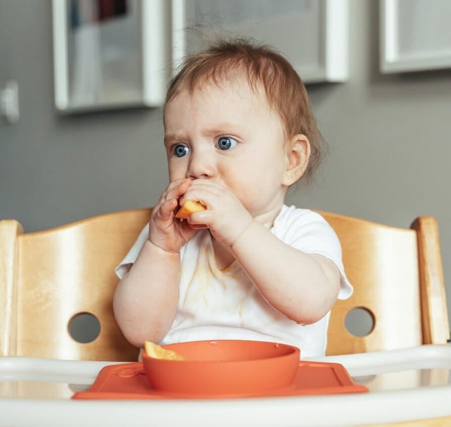 Baby Solid Food