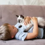 cats and infants