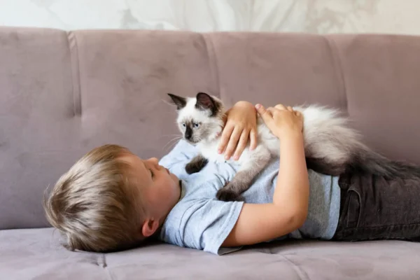 Health considerations for cats and infants safe care daily